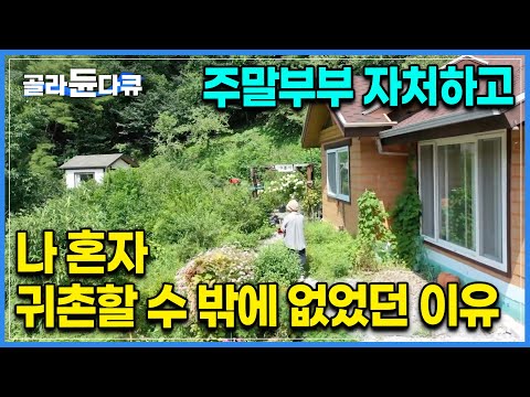&amp;quot;나 내려간다&amp;quot; 가족을 설득하고 주말부부로 살기로 했습니다｜제일 사랑하는 나를 위해 결심한 이사, 풍경 좋은 동네로 귀촌한 그녀의 특별한 <strong>시골살이</strong>｜시골다방 사장님｜