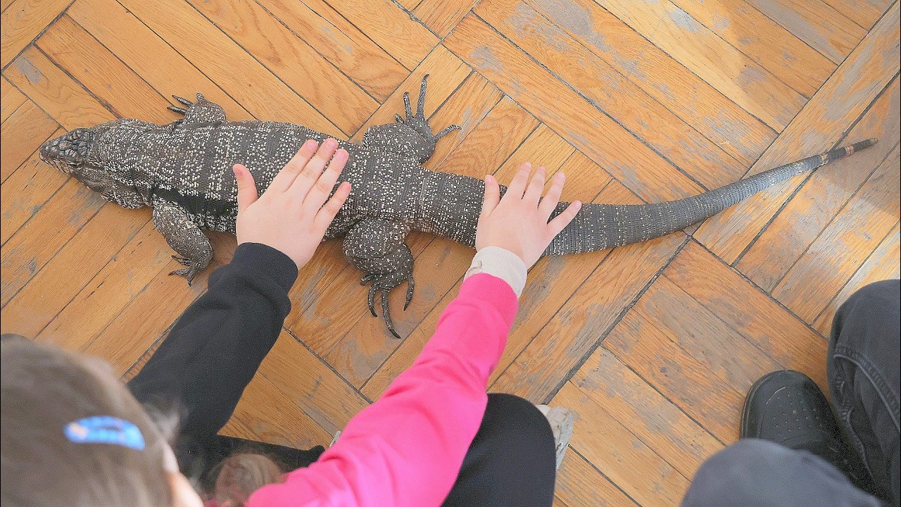 Egzotyczne zajęcia podczas ferii