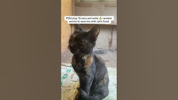 POV;stay 15 secs and write ✍️ random words to save me with cat’s food #mypoem #poetryreview