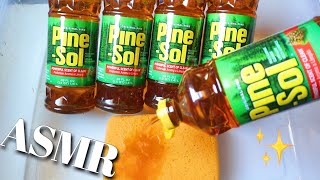 🌲🌲 ASMR GALLONS OF THE BEST PINE EVER! OG PINE SOL 🌲🌲