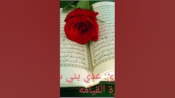 تلاوة مؤثرة من سورة القيامة 📖شارك الأجر وادعم بنشر الفيديو 🌸