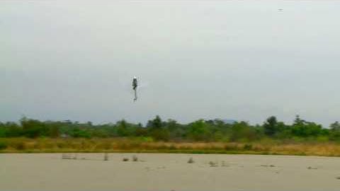 Align T-Rex 450 Pro Review Video