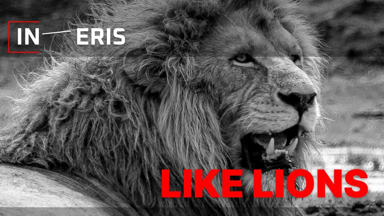 IN ERIS - Like Lions