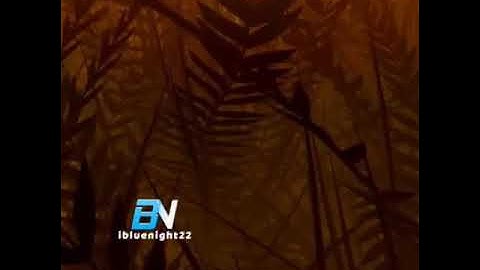 ستوريات دينيه / سورة القيامه / لا أقسم بيوم القيامه /حالات واتس آب قران // آيات قرانية قصيرة