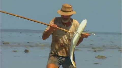 Malcolm Douglas - Australia - Kimberley Adventure (Part 1) 1997