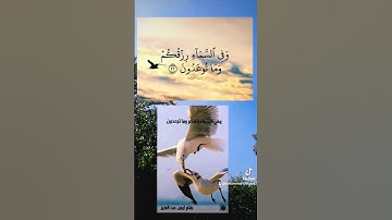 وفي السماء رزقكم وما توعدون القارئ المنشاوي