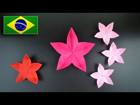 Vídeo: Como Fazer Flores De Origami