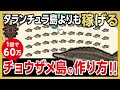 【あつ森】タランチュラ島よりも超稼げるチョウザメ島の作り方！【あつまれ どうぶつの森】