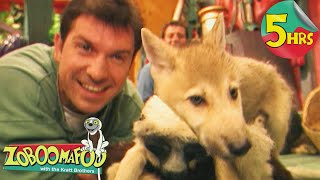 5 Hour Zoboomafoo Compilation Fierce Creatures Full Episodes For Kids