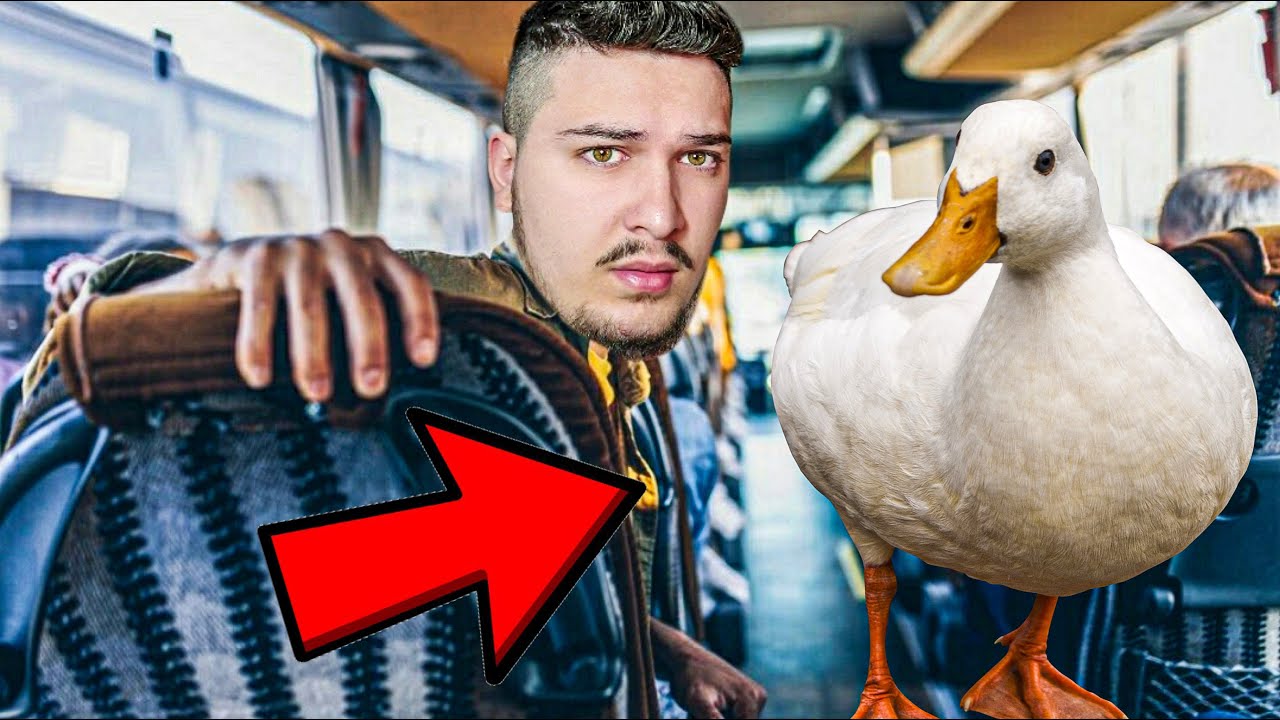 Hypa ne BUS me shku Nshpi, m'dul ni Rose