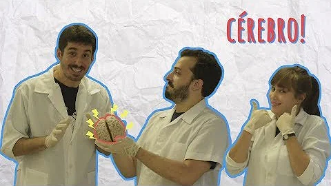 Qual a relação do cérebro com atividade física?