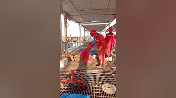 Wieght and Viscosity of Mud tanks | Mud tank | Drilling rig #drillingrig #mud #riglife