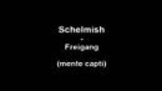 Video thumbnail of "Schelmish - Freigang"