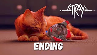 STRAY  PART 3  ENDING | PC Gameplay Walkthrough FULL GAME (No Commentary)
