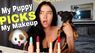 I Let My New Puppy Pick My Makeup