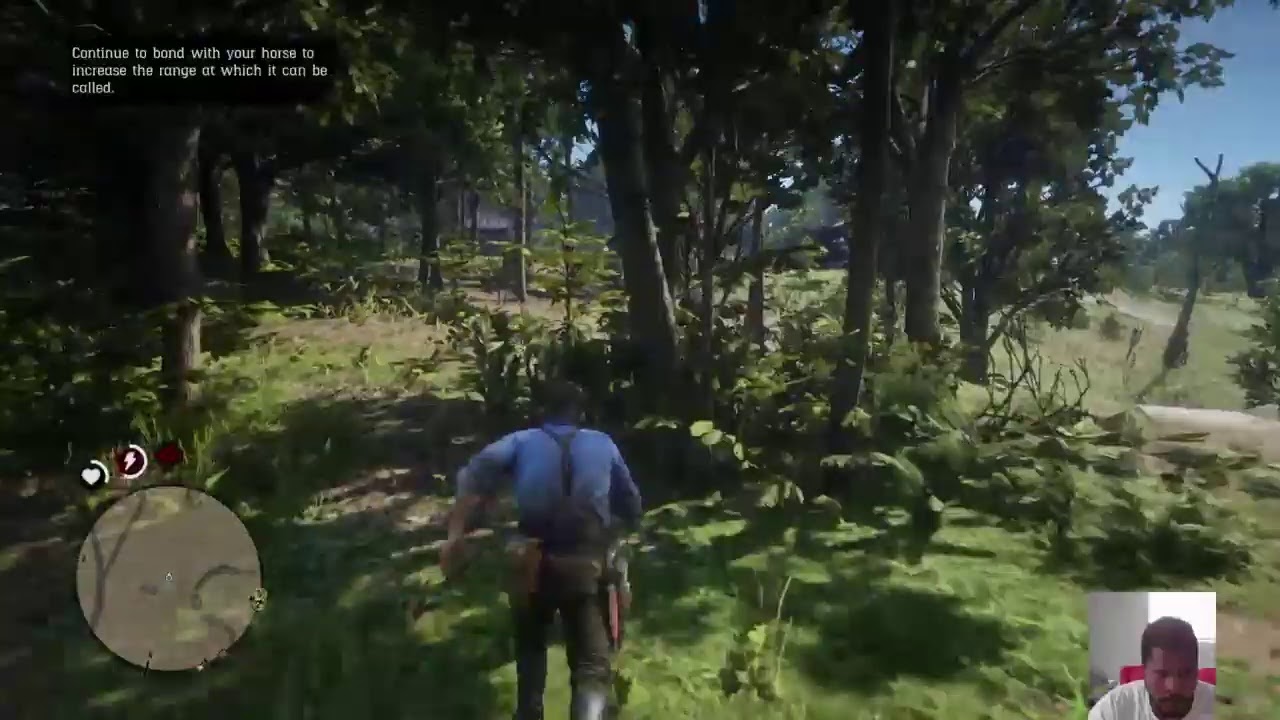 RDR2 Story mode with passthethc Part 2