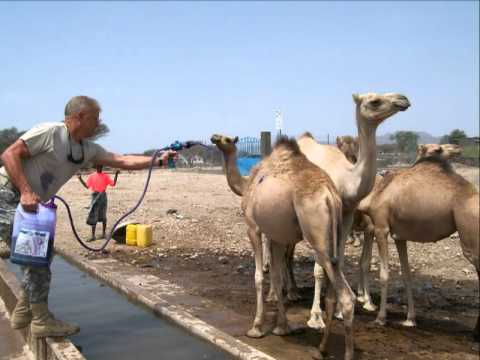 Vetcap in Obock, Djibouti