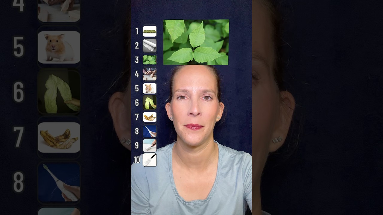 Ranking Things to Wipe With! 🤦‍♀️ 