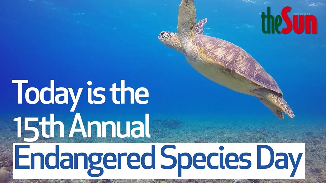 Remember the animals on Endangered Species Day