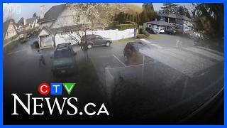 Shocking car theft caught on camera