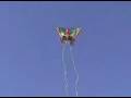 3-D Nylon Butterfly Kite