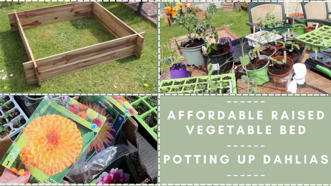 Lovely Gardeny Bits affordable raised vegetable bed, potting up