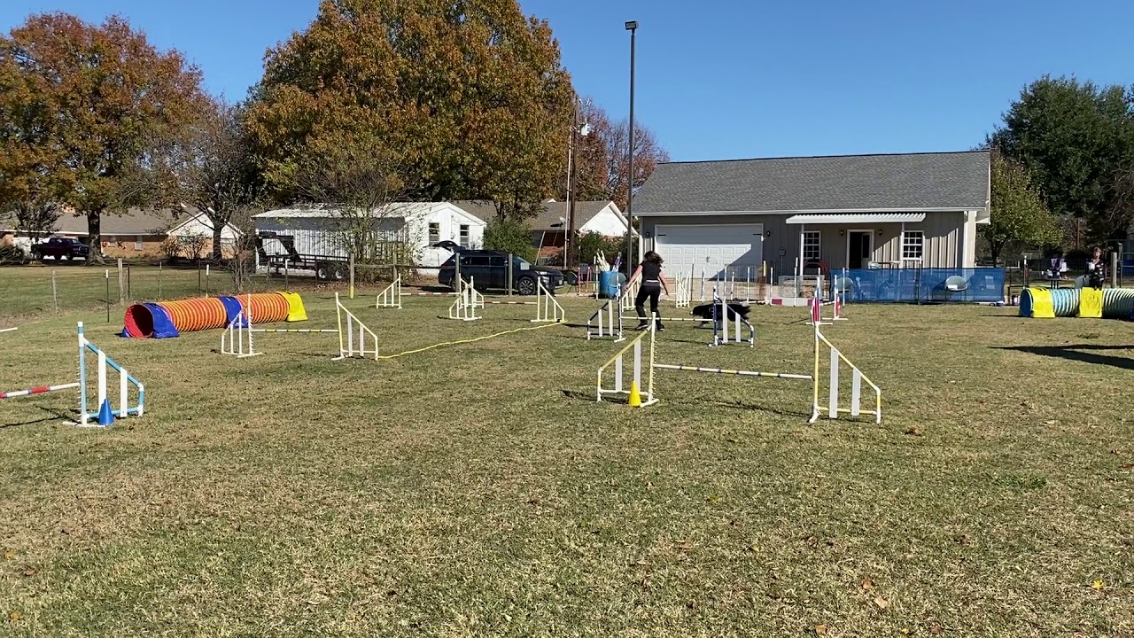 Max - USDAA@Home: Gamblers (Event 