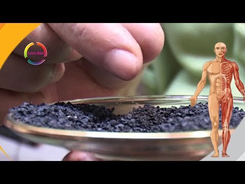 شاهد ماذا تفعل بذور البصل في جسمك ما شاء الله