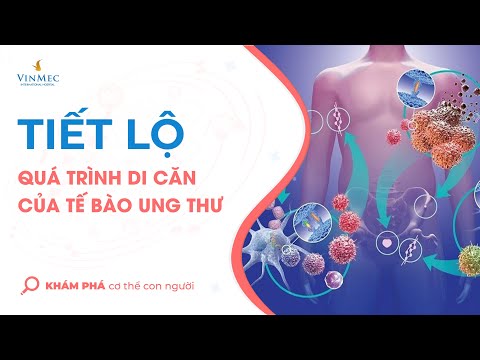 Video: Tế bào có thể sống mà không có nhân?