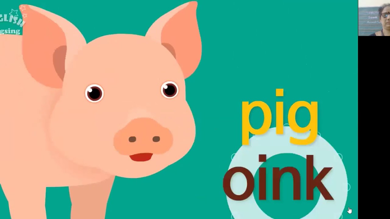 VPDCPS Nursery Sound Animals Sounds YouTube