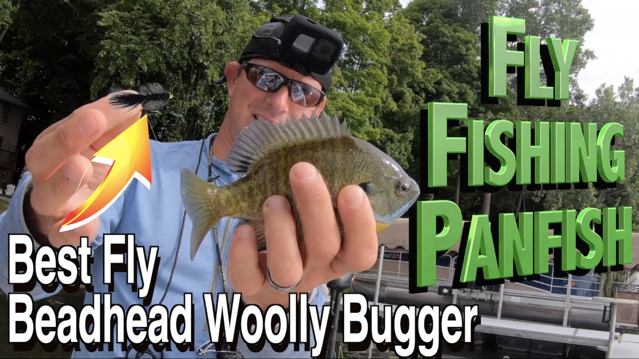How to Fly Fish for Panfish  Best Bluegill Fly: Beadhead Woolly