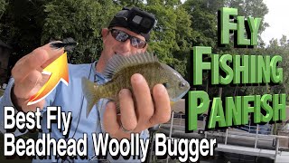 How to Fly Fish for Panfish | Best Bluegill Fly: Beadhead Woolly Bugger | Tips & Techniques