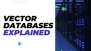 Celebrity Introducing Vector Databases | Power the AI Applications Net Worth