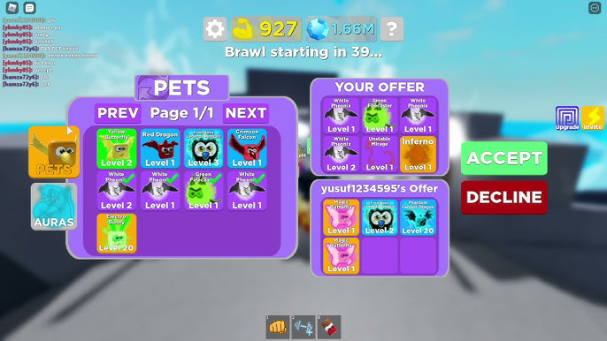 HOW TO MULTIPLY YOUR PETS AND AURAS in MUSCLE LEGENDS  GET UNLIMITED PETS  and AURAS Instantly! #3 