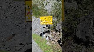 In bici da Forte dei Marmi a Massa in mezzo alle Alpi Apuane #fortedeimarmi #massa #alpiapuane #bici