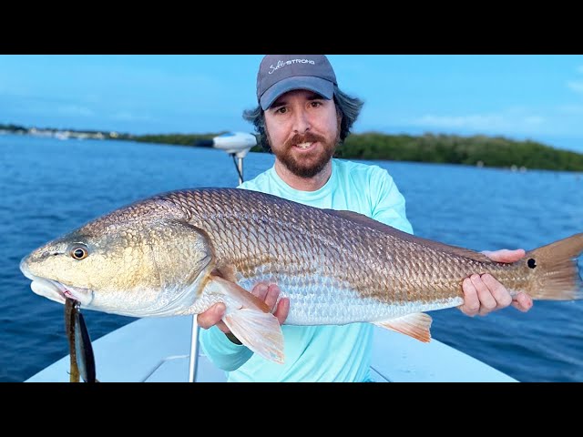 Here's How Fast You Should Retrieve Topwater Lures (For More