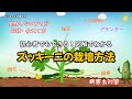 ズッキーニの育て方完全ガイド｜図解で初心者にもわかる栽培のコツを徹底解説！