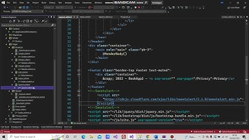 SweetAlert Library in ASP NET CORE RAZOR .Net6