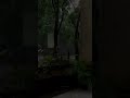 Lofi_world@007