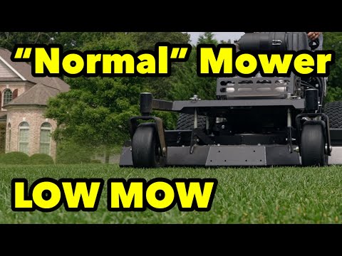 I Mowed My Kentucky Bluegrass With a NORMAL MOWER