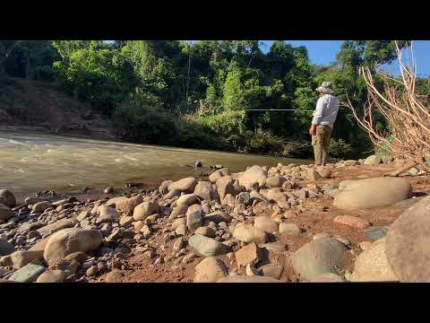 Video Lại tranh thủ thôi (Pa Khính) lại nước đục - youtube