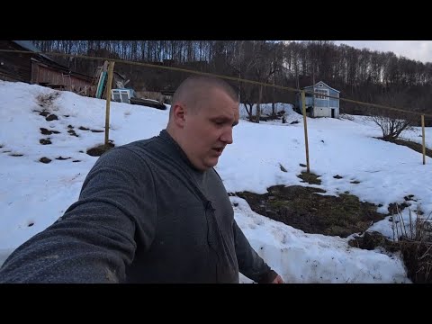 Видео: Сидней Парк хэр баян вэ? Жүжигчин Вики: Цэвэр хөрөнгө, гэр бүл, үндэс угсаа