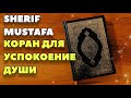 УСПОКАИВАЮЩИЕ ЧТЕНИЕ КОРАНА. КРАСИВОЕ ЧТЕНИЕ!