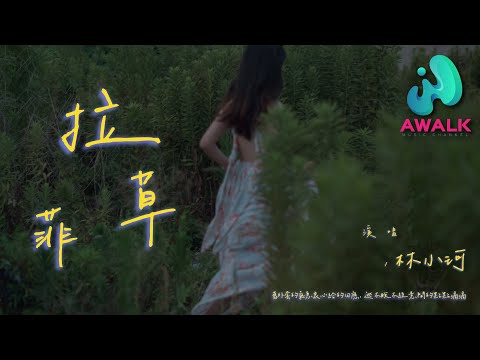 林小珂 - 拉菲草『旧外套的气息衷心给的回应，逃不脱不经意间的点点滴滴。』【动态歌词 | Pinyin Lyrics】【八月新歌】【AWALK MUSIC】