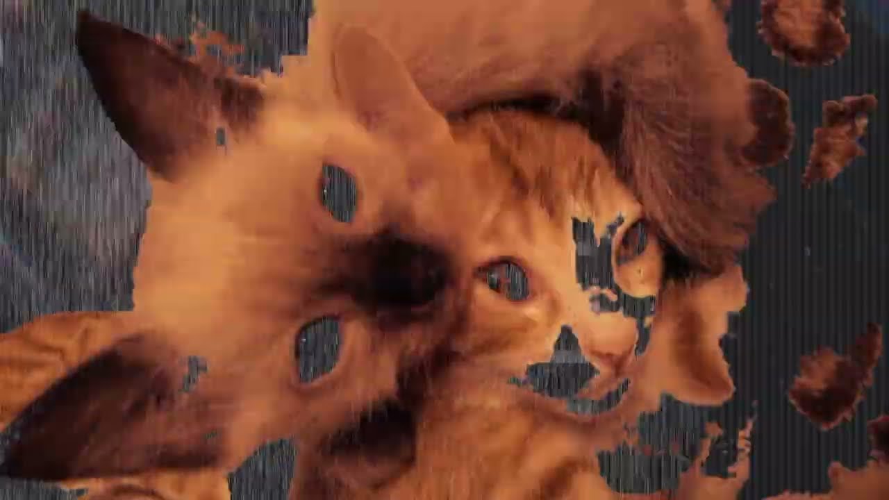 Decurso Drama - Medidas de Contenção