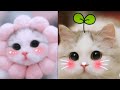 Funny kittens compilation 2024