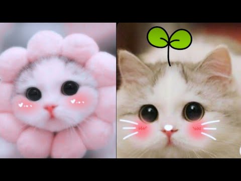 Funny Kittens Video Compilation 2024