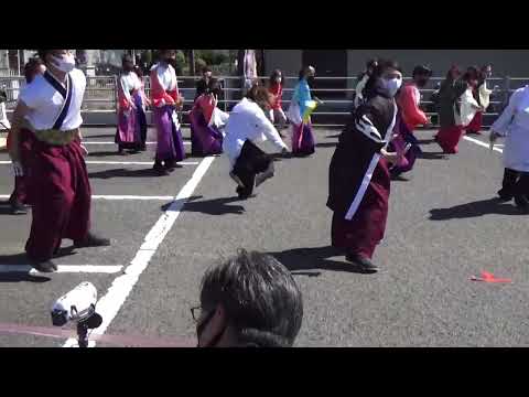 秦野元気まつり 秋の陣 総踊り - IZUMO