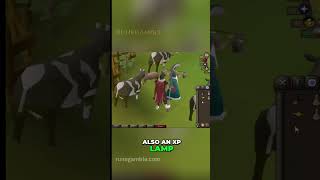 5-Minute Quest… FREE XP + Amulet?!