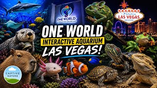 🐠 One World Interactive Aquarium Tour | Las Vegas, Nevada 🦈
